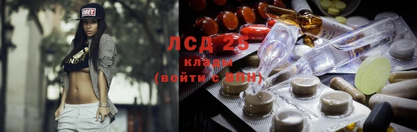 ГАЛЛЮЦИНОГЕННЫЕ ГРИБЫ Лиски
