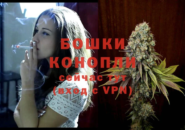гидра Ветлуга