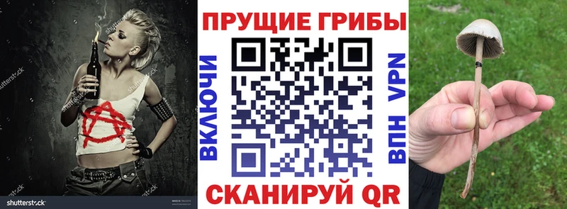 Галлюциногенные грибы Psilocybe  что такое наркотик  Нерчинск 